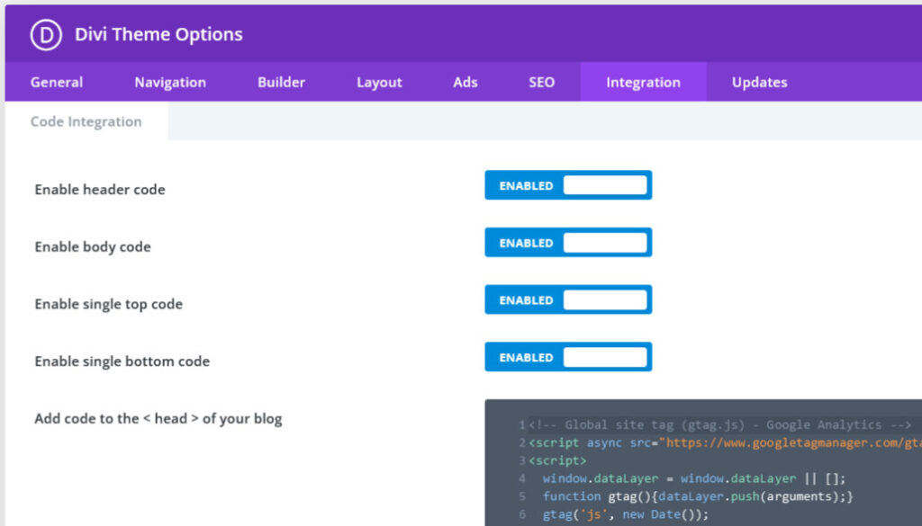 Divi Theme Options Integration tab showing Google Analytics code in header